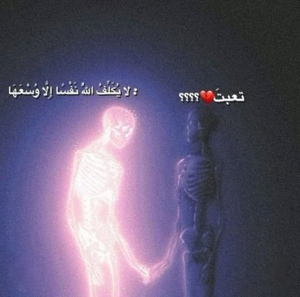FB_IMG_1750601273042.jpg