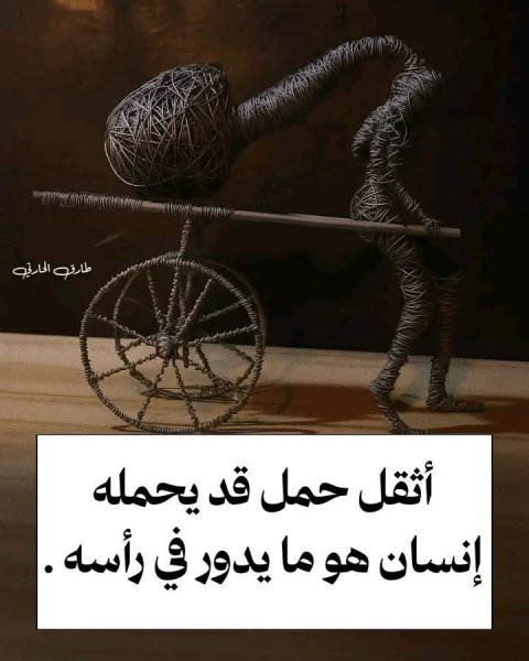 FB_IMG_1750939466017.jpg