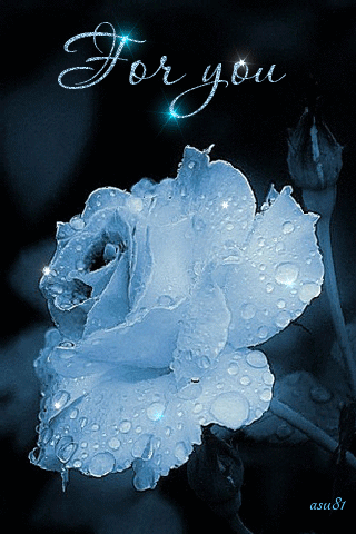 d470e0fe5a6c40774f7c89c82cb04ff0.gif d470e0fe5a6c40774f7c89c82cb04ff0.gif