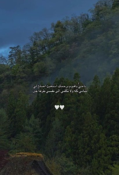 Screenshot_٢٠٢٥٠٦٢٨_١٥٢٤٤٤.jpg