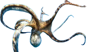 1751194109620.png