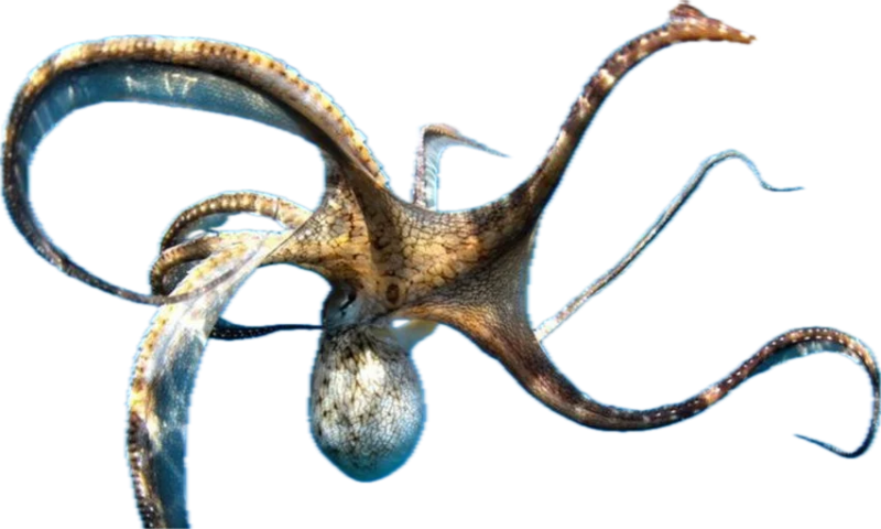 1751194184402.png
