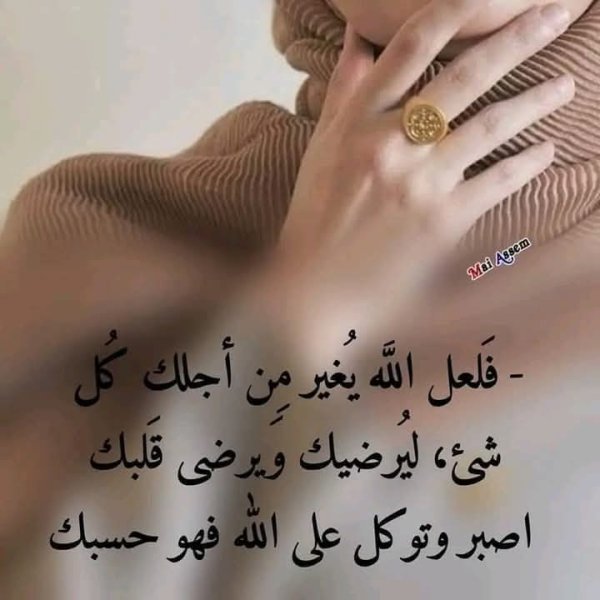 FB_IMG_1751303715692.jpg