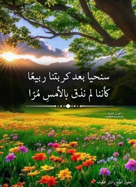FB_IMG_1748418185784.jpg
