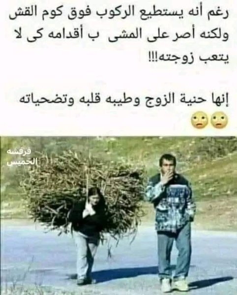 FB_IMG_1751832993794.jpg
