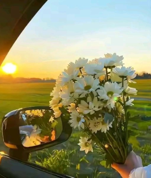 Screenshot_٢٠٢٥-٠٥-١٤-١٩-٣٧-١٠-٩٥٠_com.zhiliaoapp.musically-edit.jpg