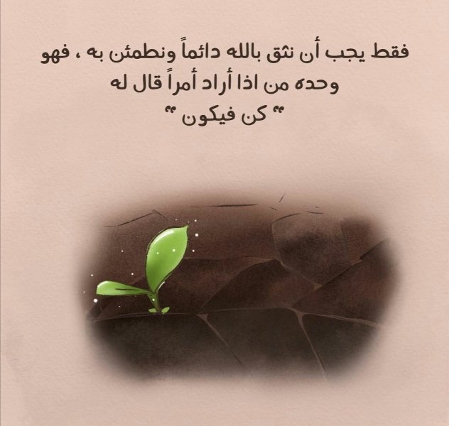 IMG_٢٠٢٥٠٧١٠_١٠١٧٣٥.jpg