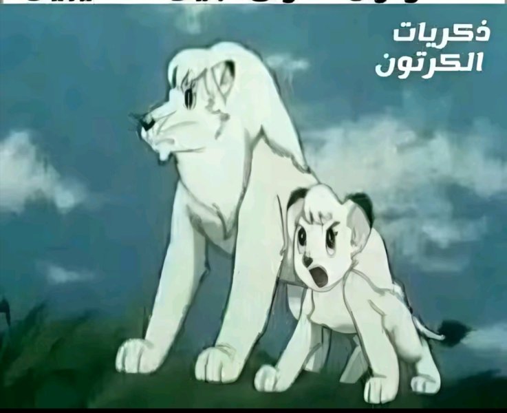 Screenshot_٢٠٢٥٠٧١٣_٠٦٢٥١١.jpg