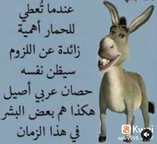 IMG_3115.jpeg
