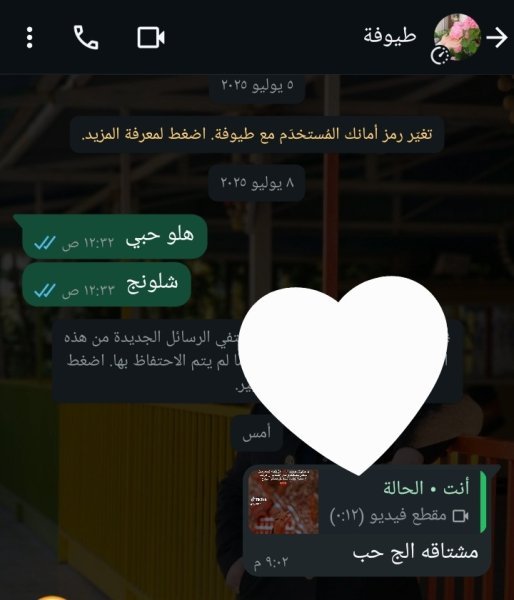 Screenshot_٢٠٢٥٠٧١٨_٠١٠٢٢٥_WhatsApp.jpg