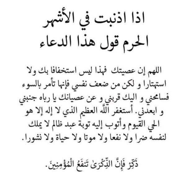 FB_IMG_1753015686480.jpg