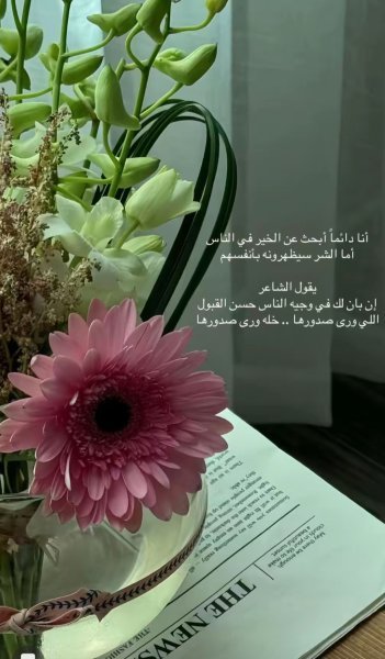 Screenshot_٢٠٢٥٠٧٠١_٢٣٠١١٦_TikTok.jpg
