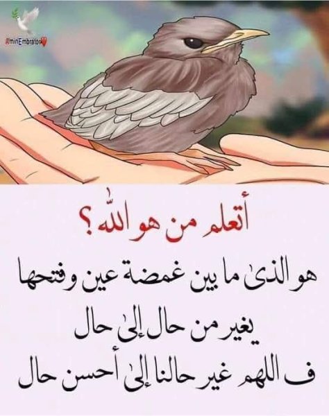 FB_IMG_1753162044194.jpg