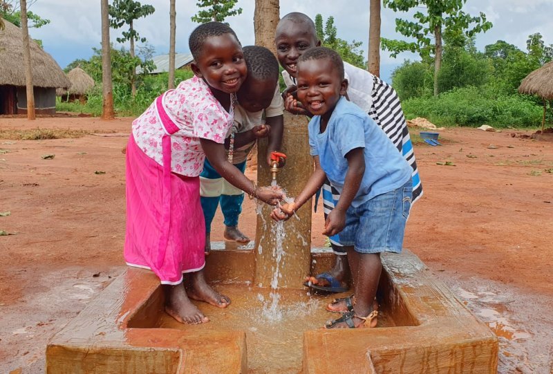 image1.webp image1.webp