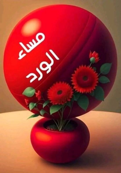 FB_IMG_1753204810762.jpg
