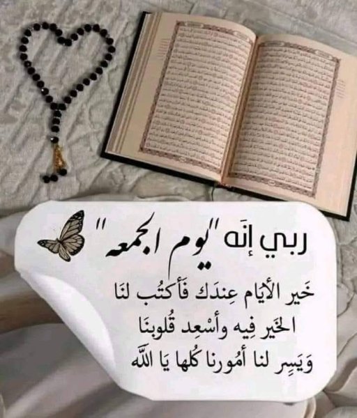 FB_IMG_1753453071663.jpg