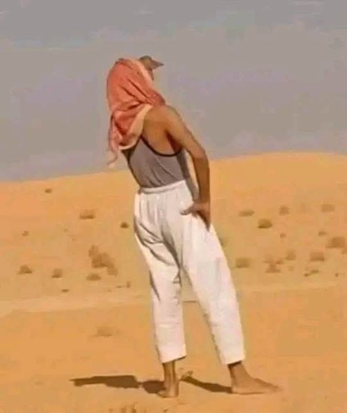 FB_IMG_1753456515176.webp FB_IMG_1753456515176.webp