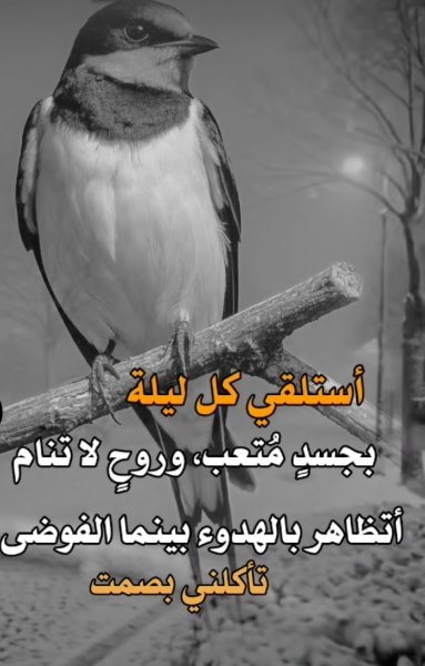 Screenshot_٢٠٢٥-٠٥-١٤-١٤-٤١-٤٤-٩٣٥_com.zhiliaoapp.musically-edit.jpg