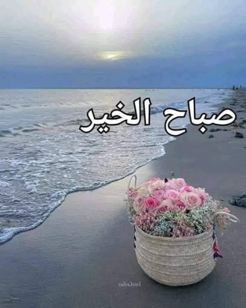 FB_IMG_1754157526407.jpg