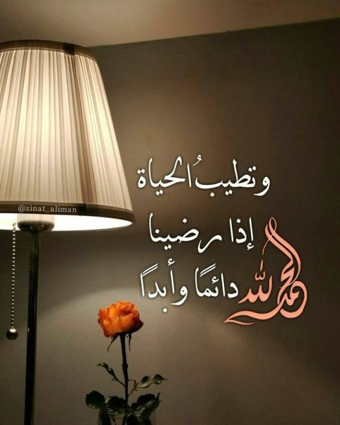 FB_IMG_1754406811088.jpg