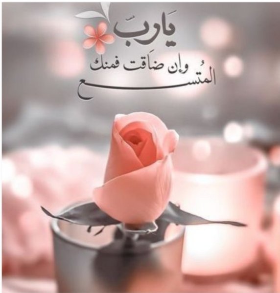 Screenshot_٢٠٢٥٠٨٠٦_٠٠٥٦٥٢.jpg
