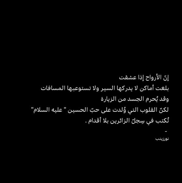 IMG_0206.jpeg
