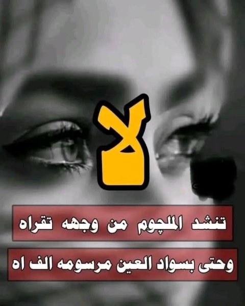 FB_IMG_1754564890926.jpg