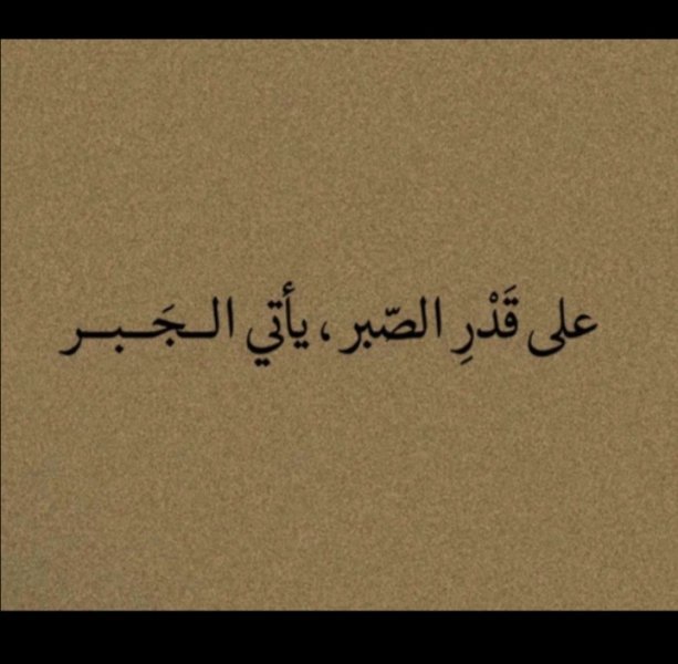 Screenshot_٢٠٢٥٠٨١١_٢٠٤٠٠٤.jpg