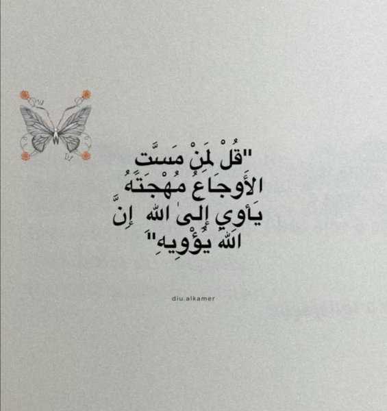Screenshot_٢٠٢٥٠٨١٦_١٧٣١٣٥.jpg