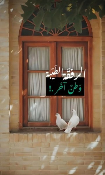 Screenshot_٢٠٢٥٠٨٠٣_١٠٢٠٤٩.jpg