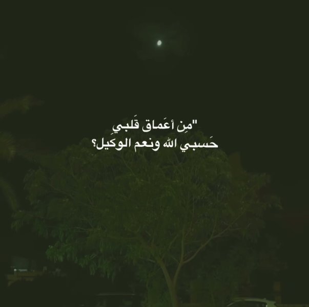 Screenshot_٢٠٢٥٠٨١٩-٠٠٠٠٤١_Instagram.jpg