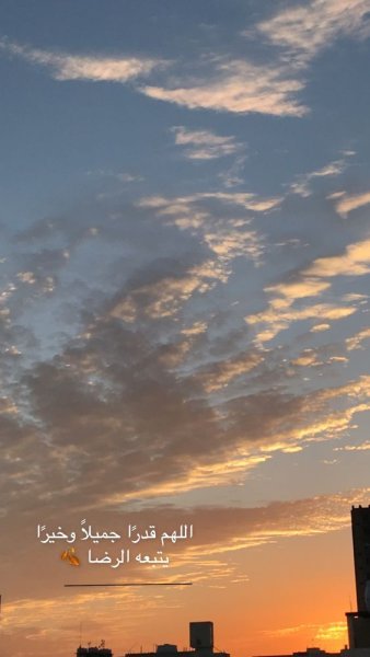 1755692175621.jpeg 1755692175621.jpeg