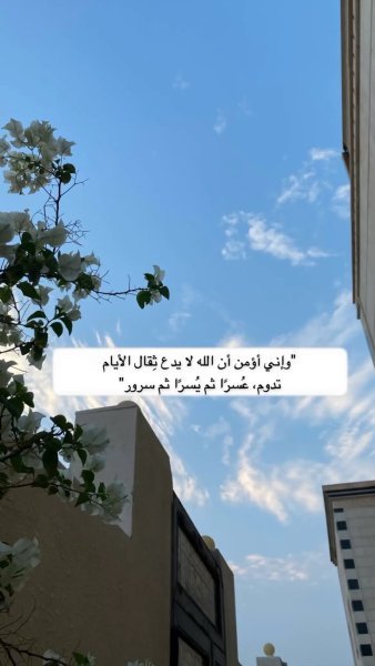 1755692307579.jpeg 1755692307579.jpeg