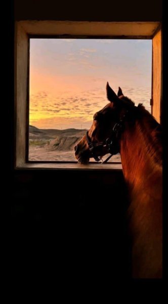 1755692364377.jpeg 1755692364377.jpeg