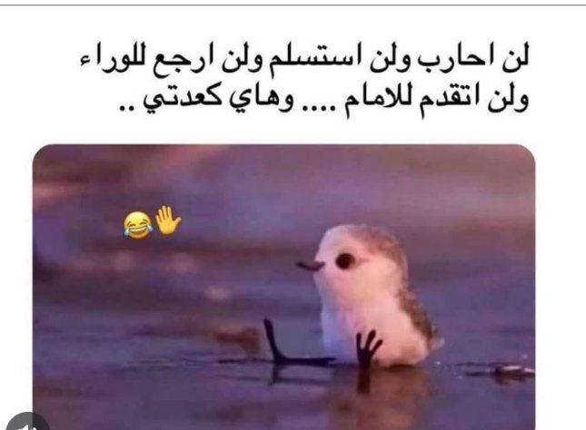 Screenshot_٢٠٢٥٠٨٢٢-٠٠٠٥٢٠_1.jpg