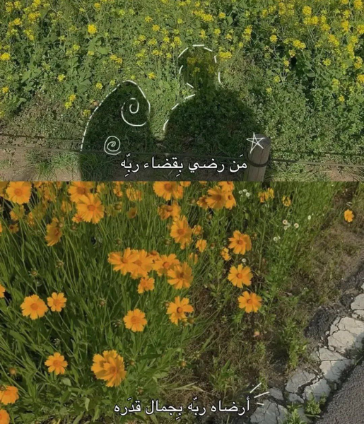 1756509772537.png