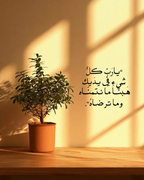 1756548675056.png