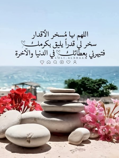 FB_IMG_1756751517937.jpg