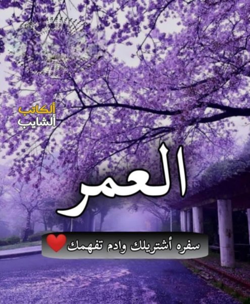 FB_IMG_1753276623879.jpg