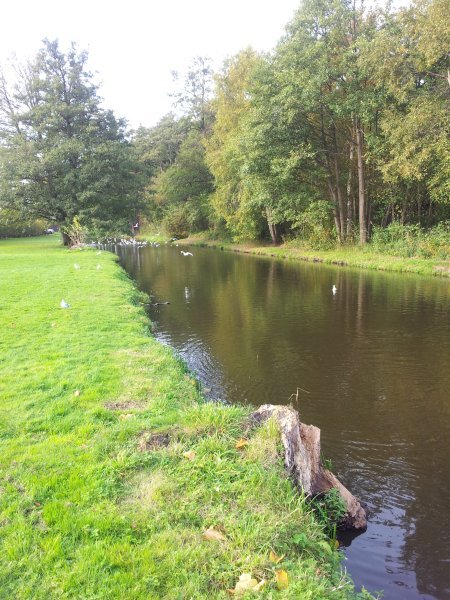 20141011_154526.jpg