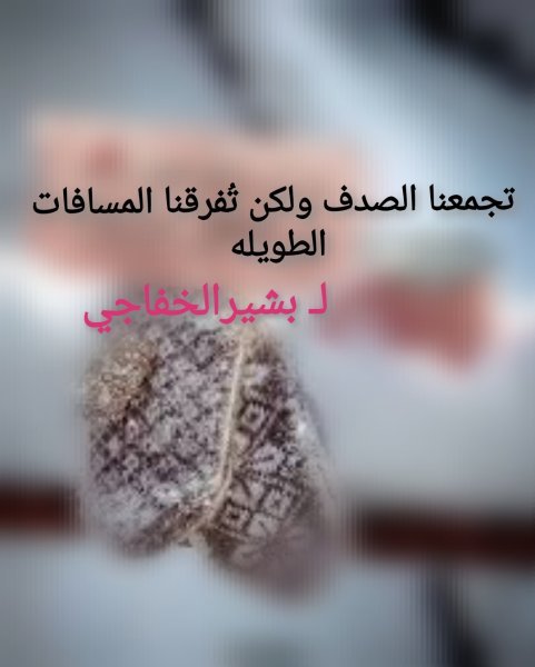 IMG_٢٠٢٥٠٨٢٦_١٦٥٣٢٣.jpg