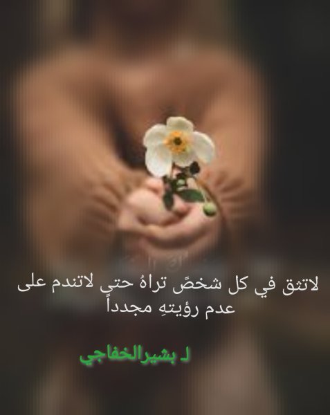 IMG_٢٠٢٥٠٨٢٦_١٦٥٨٣٩.jpg