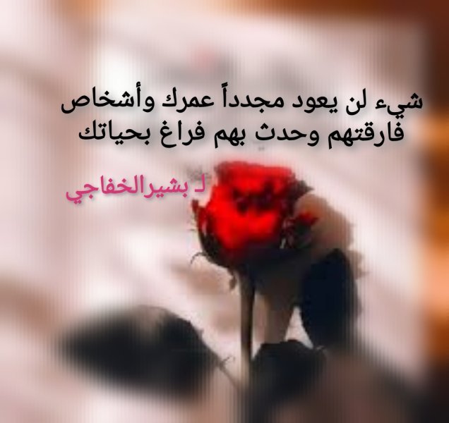IMG_٢٠٢٥٠٨٢٦_١٦٤٧٢٤.jpg