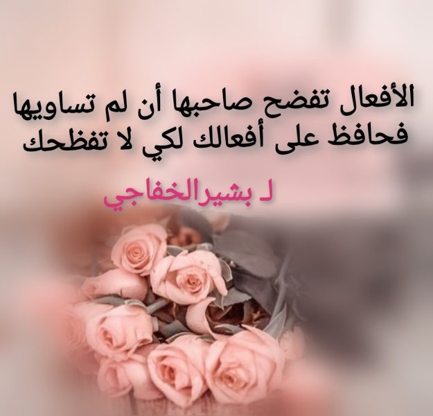 IMG_٢٠٢٥٠٨٢٦_١٦٥٢٠٠.jpg