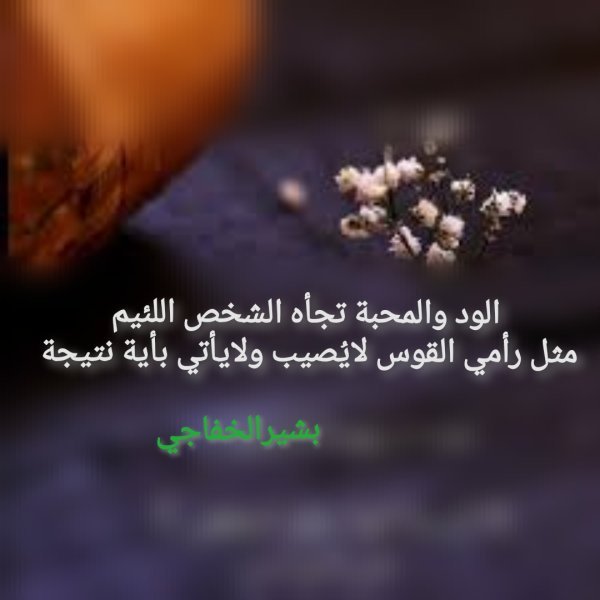 IMG_٢٠٢٥٠٩٠٦_١٩٤٣٢٨.jpg