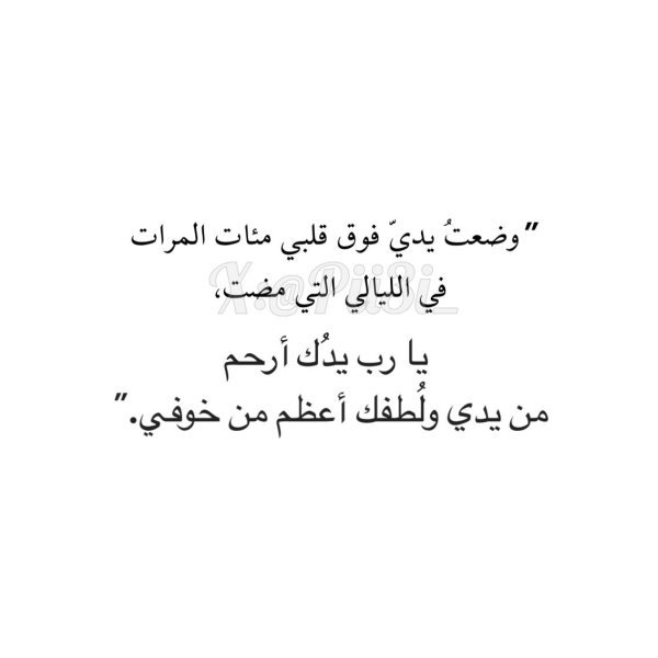 IMG_8875.jpeg
