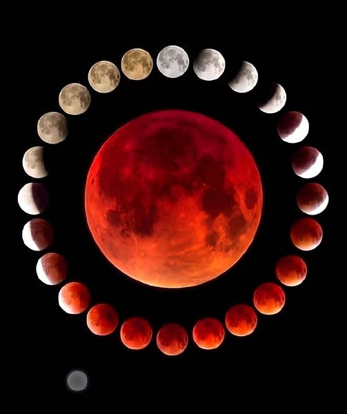 542483706_1092776539705771_1125545940769631339_n.jpg