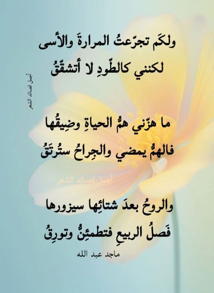 FB_IMG_1757441775504.jpg