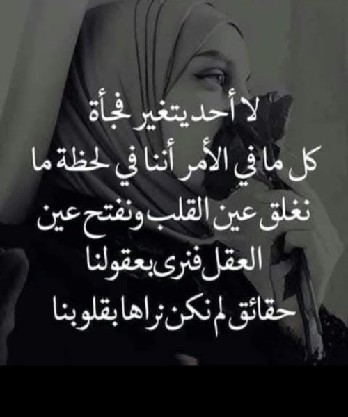 IMG_2658.jpeg