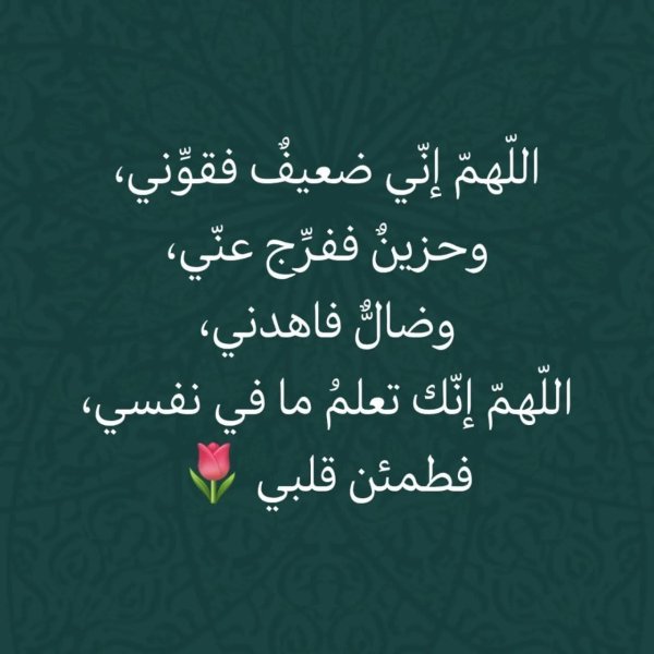 FB_IMG_1757400374170.jpg